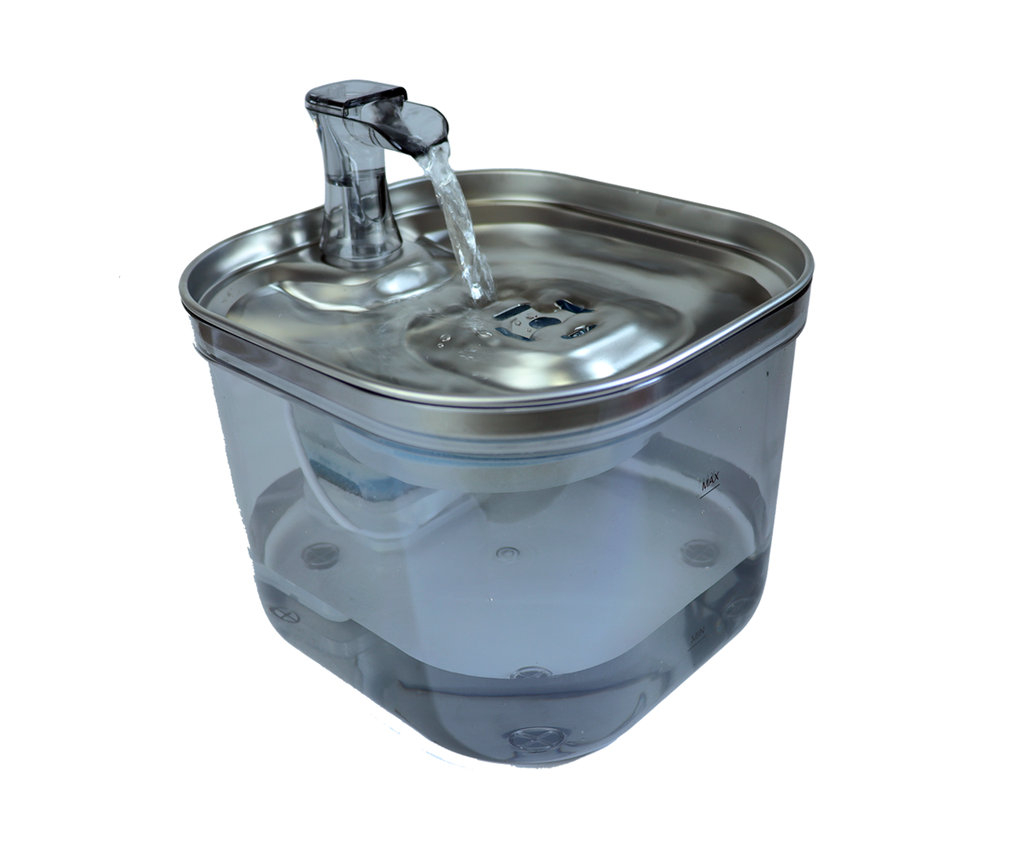 Fonte de Agua Premium