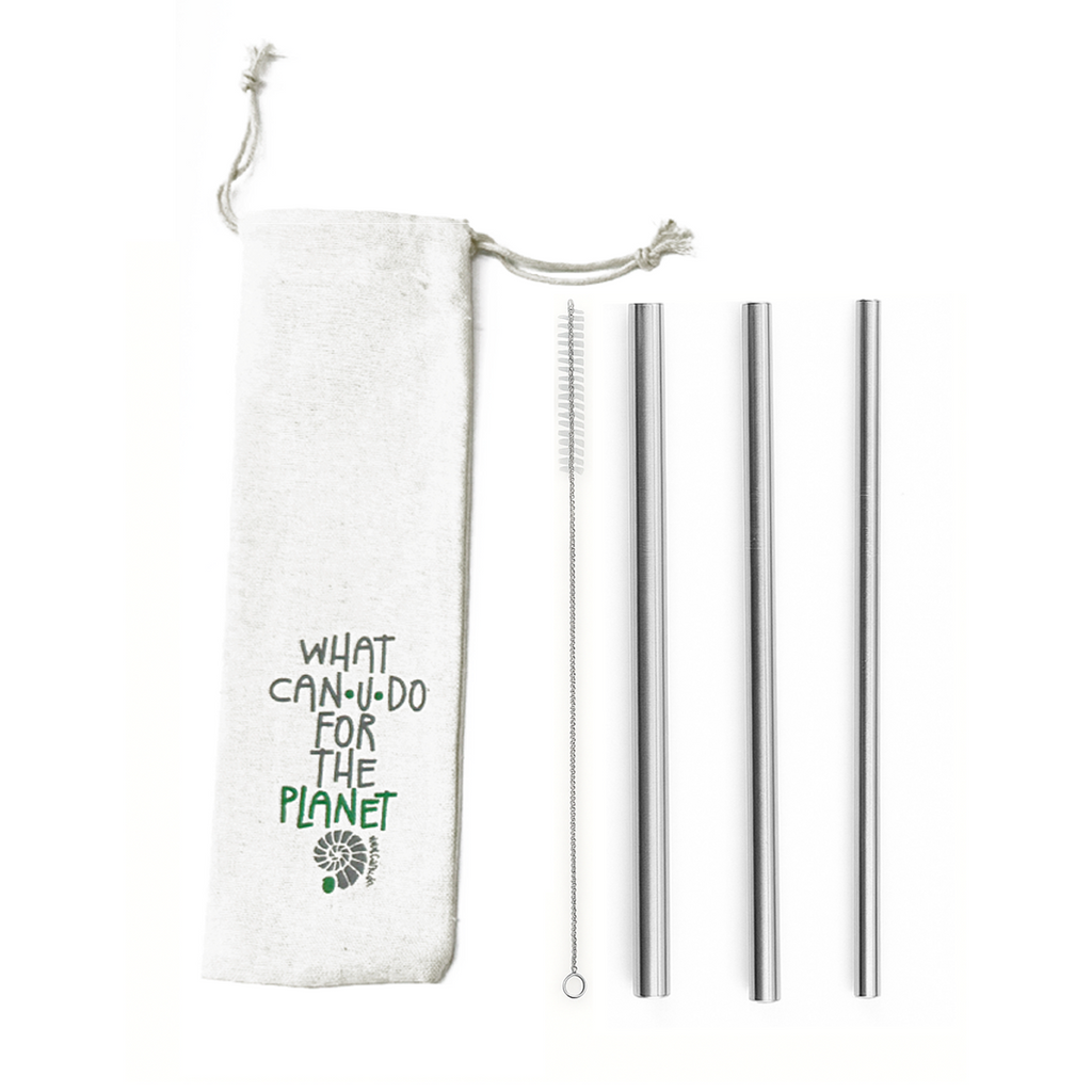 Kit Shake - 3 Canudos shake 8, 10 e 12mm + Escova + Ecobag